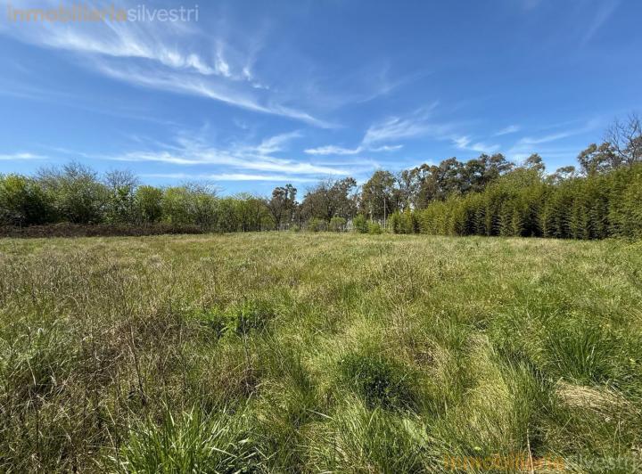 Terreno · 10775m²