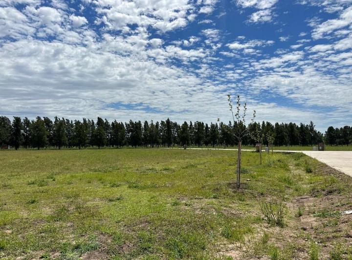Terreno · 1254m²