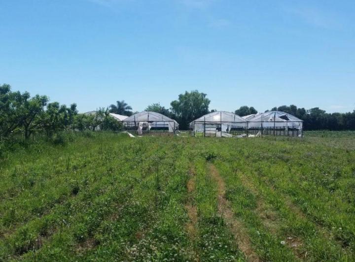 Terreno · 34000m²