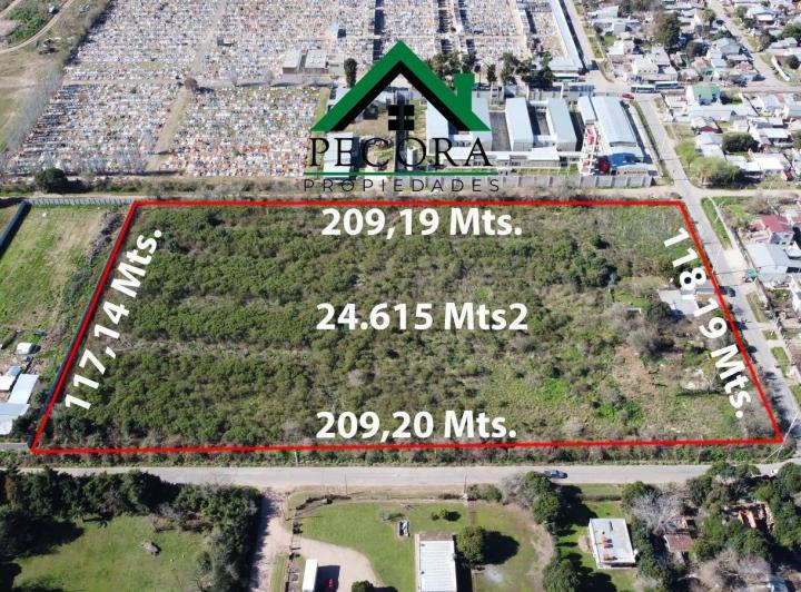 Terreno · 295m²