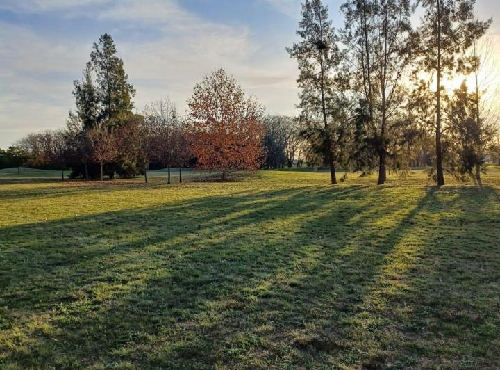 Terreno · 1280m²