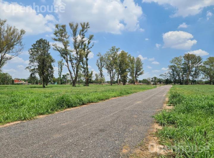 Terreno · 350m²