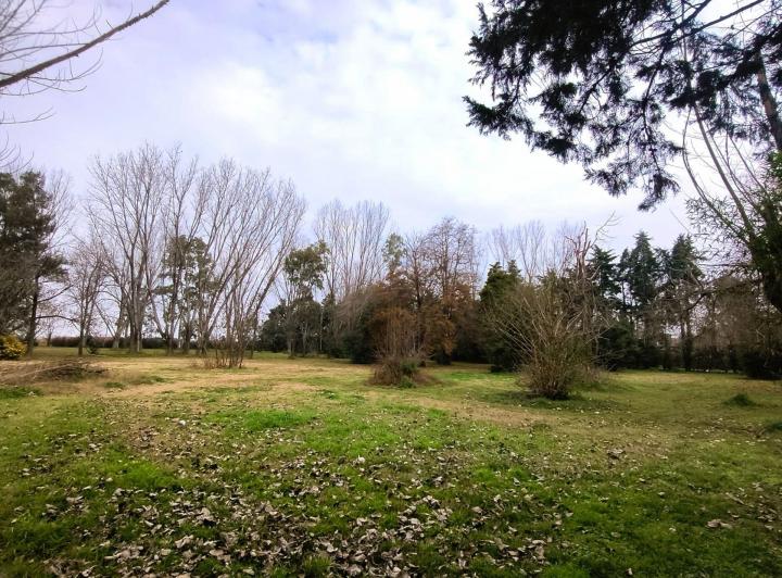 Terreno · 10516m²