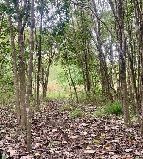 Terreno · 876m²