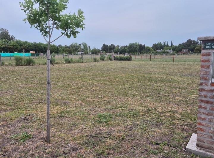 Terreno · 614m²