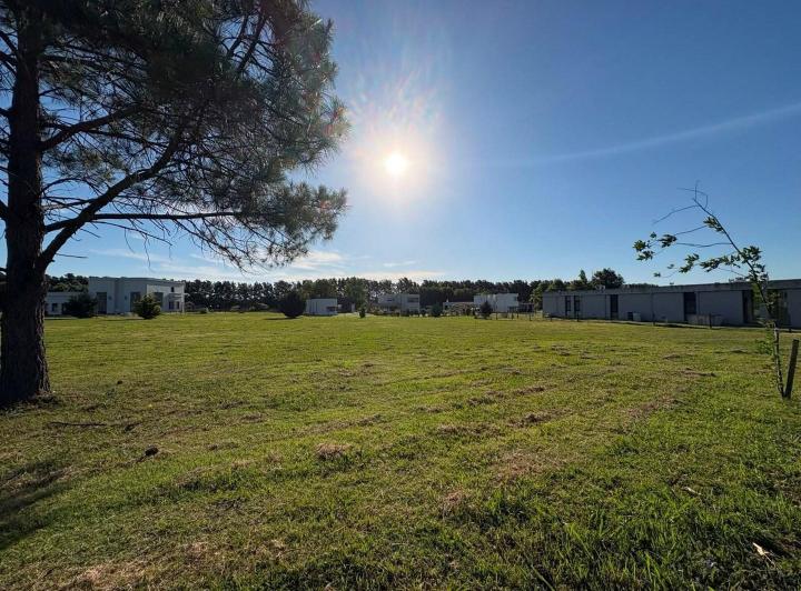Terreno · 1184m²
