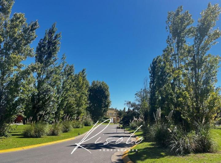 Terreno · 774m²