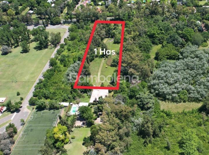Terreno · 10006m²