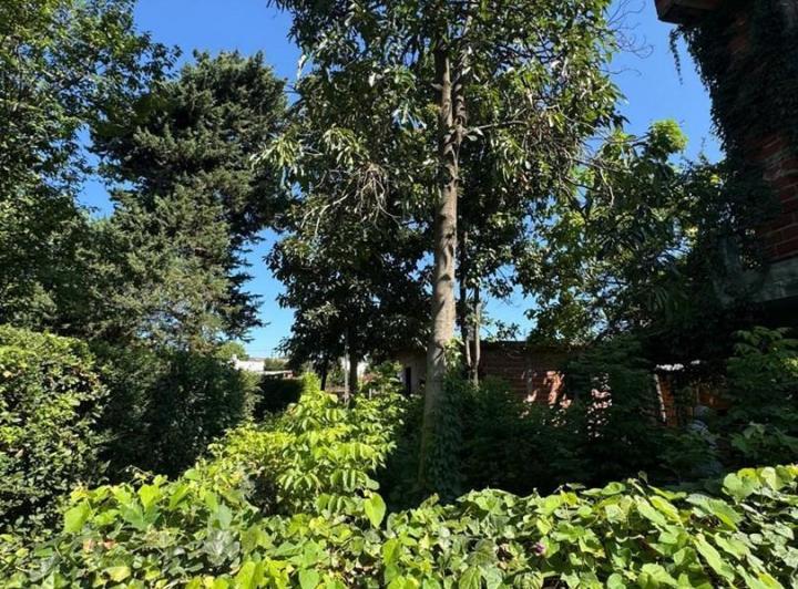 Terreno · 700m²