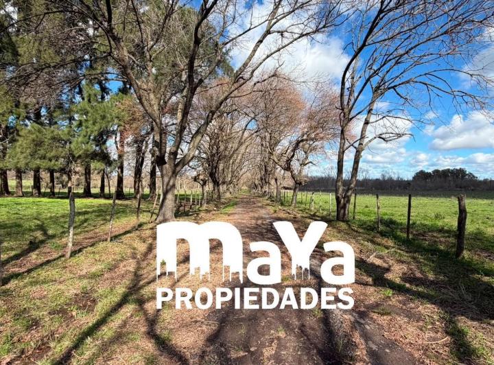 Terreno · 37m²