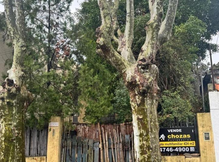 Terreno · 90m²