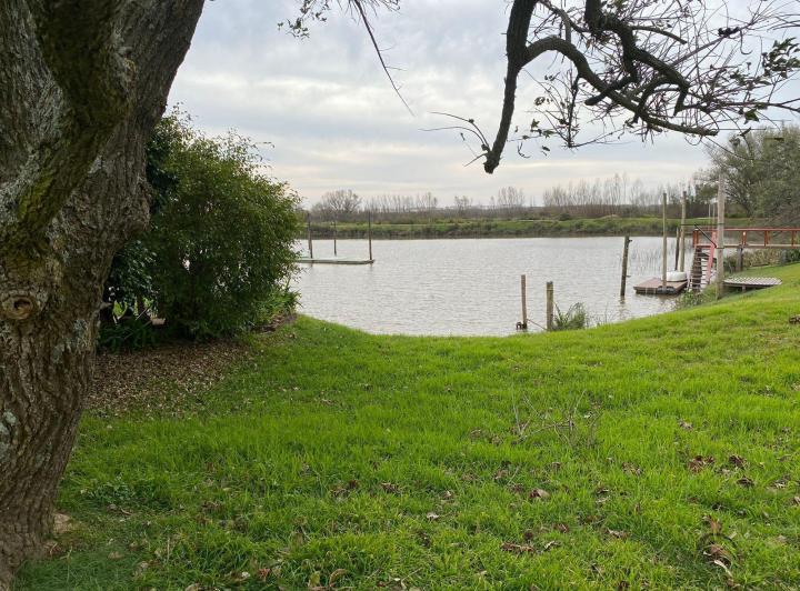 Terreno · 977m²