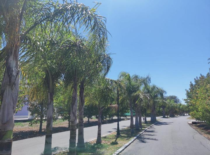 Terreno · 300m²