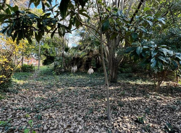 Terreno · 814m²