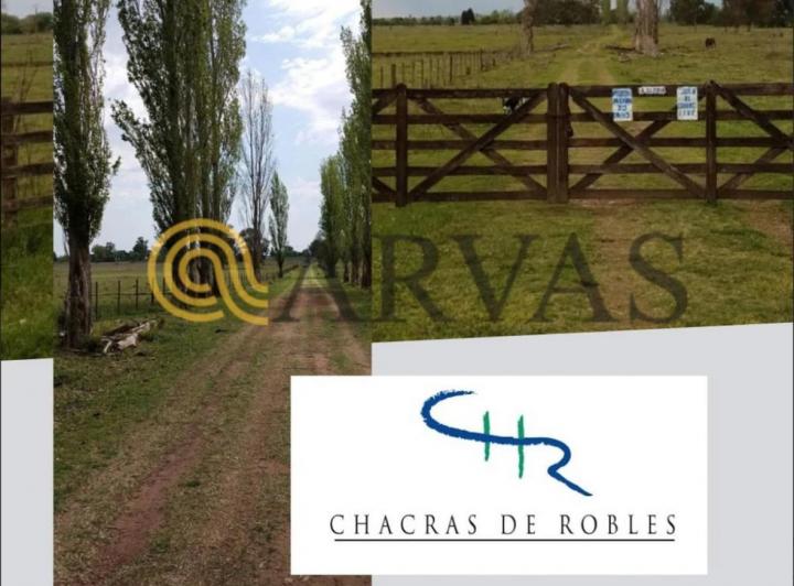 Terreno · 5000m²