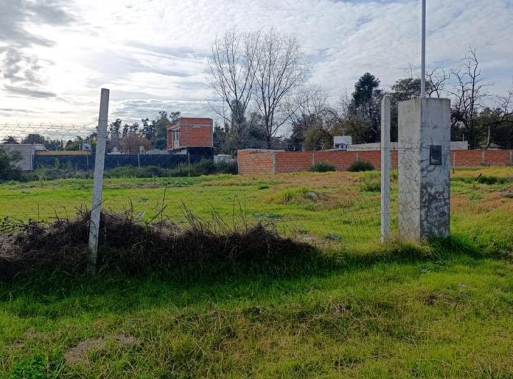 Terreno · 310m²