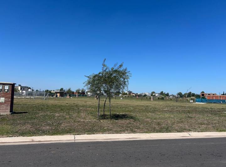 Terreno · 508m²