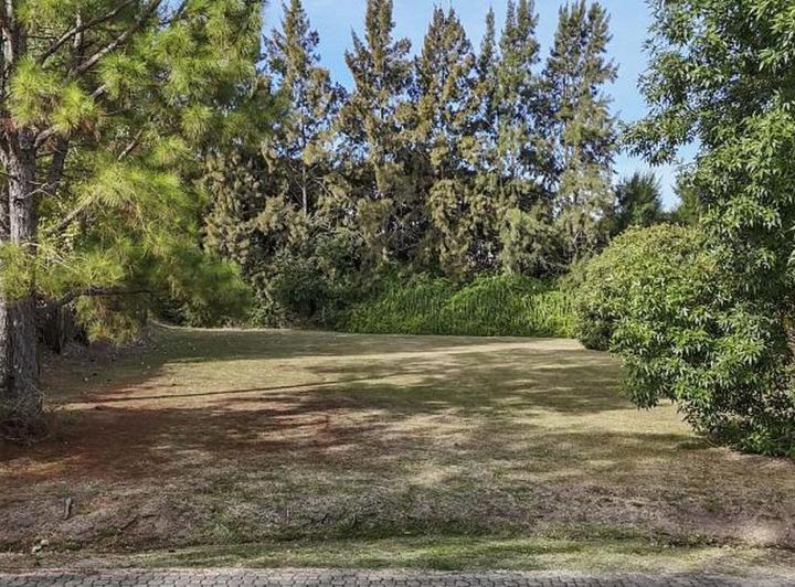 Terreno · 1031m²