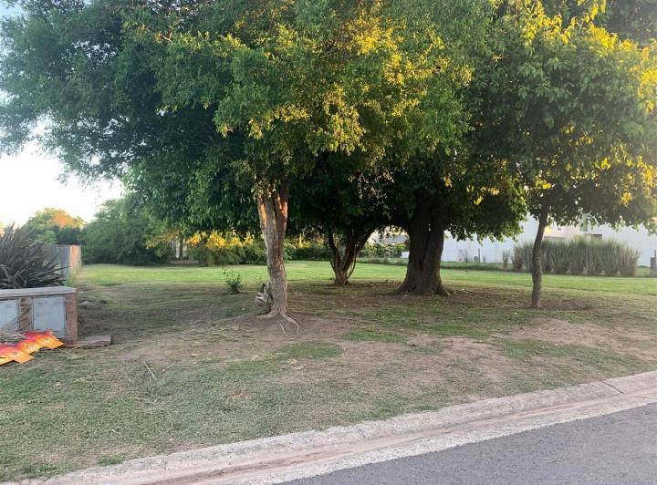 Terreno · 1040m²