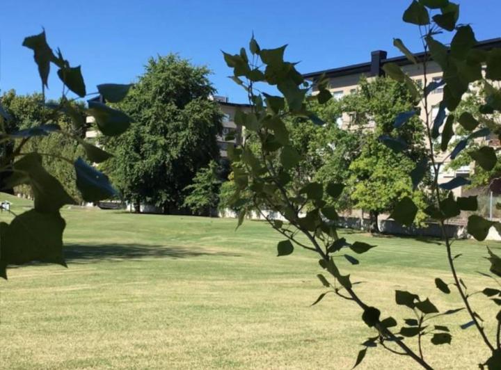 Terreno · 2000m²
