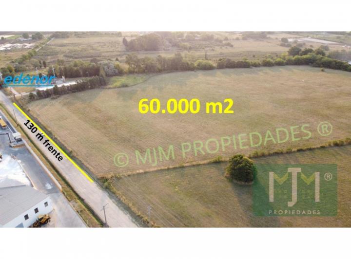 Terreno · 60000m²