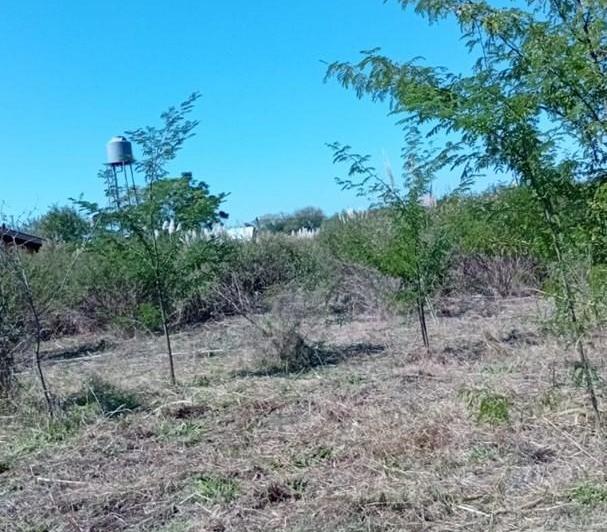 Terreno · 1000m²