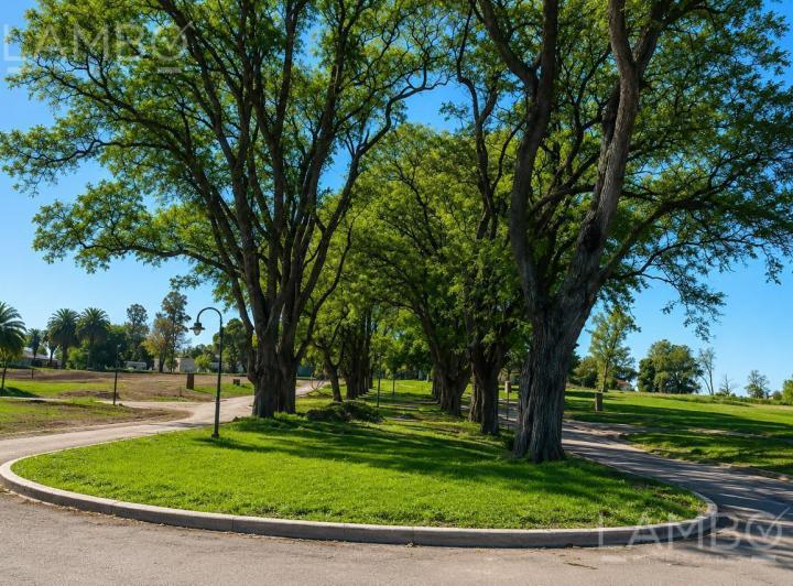 Terreno · 816m²