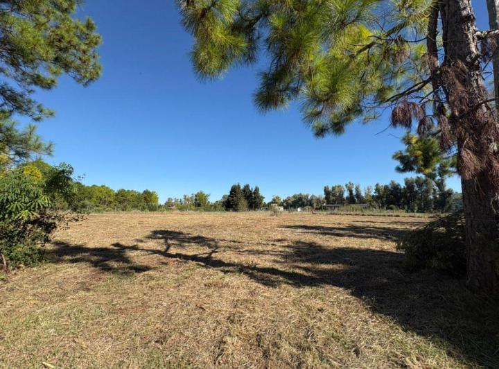 Terreno · 2692m²