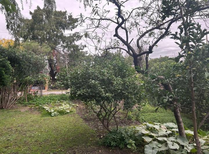 Terreno · 900m²