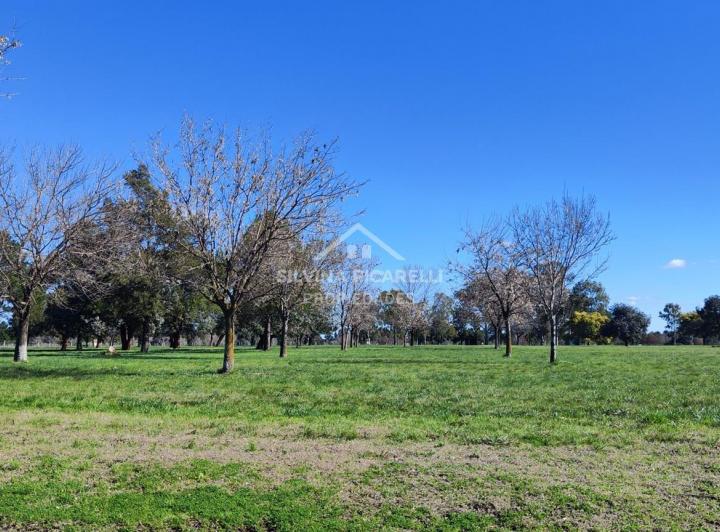 Terreno · 1000m²