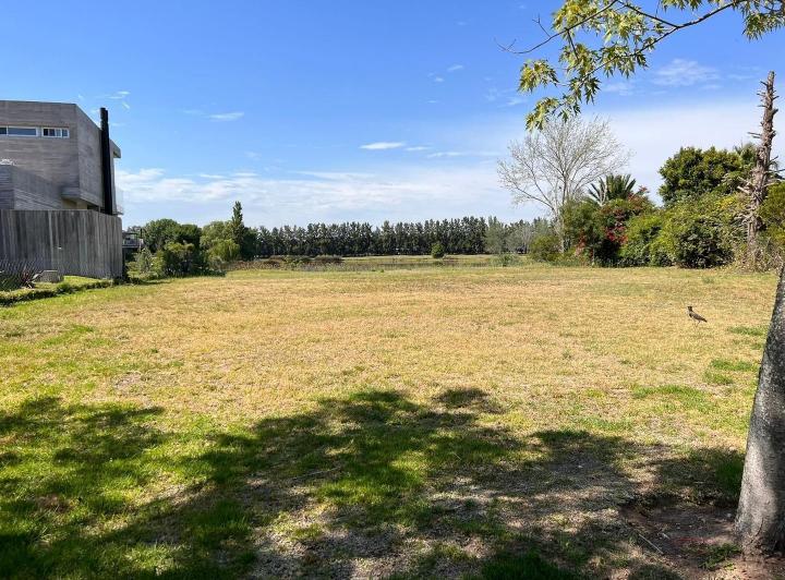 Terreno · 1005m²
