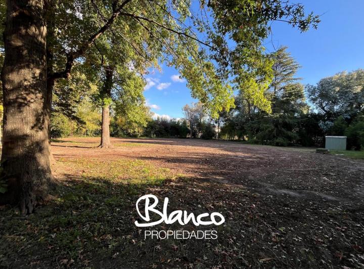Terreno · 1654m²