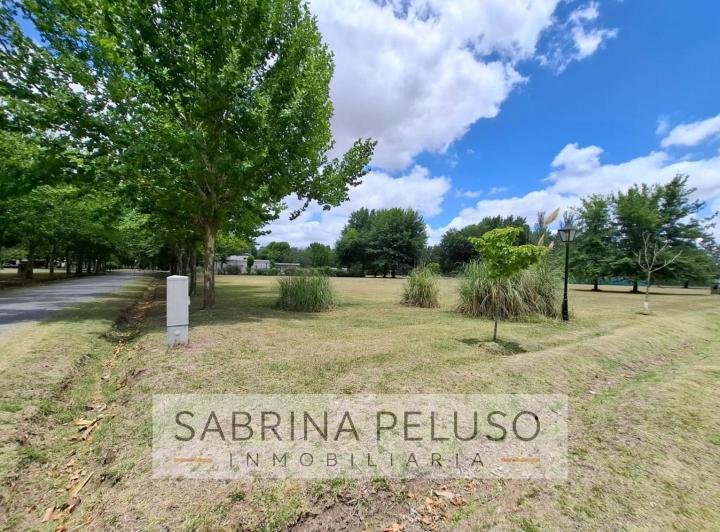 Terreno · 3041m²