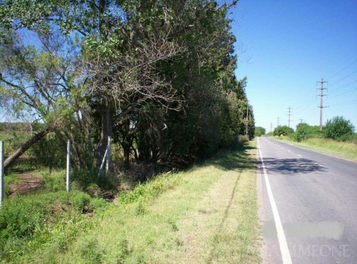 Terreno · 62400m²