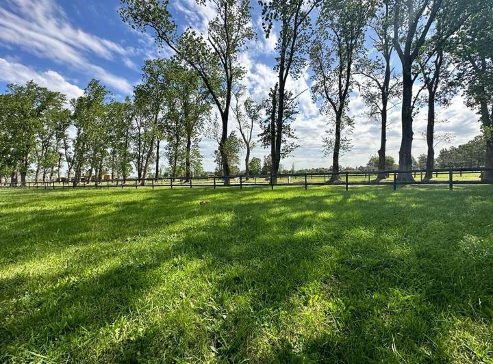 Terreno · 5000m²