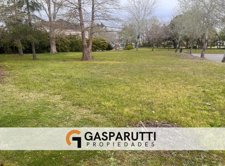 Terreno · 998m²