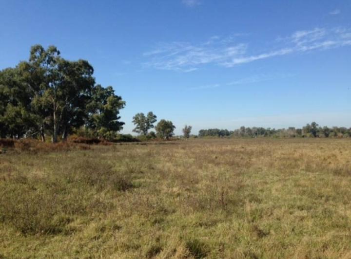 Terreno · 1160000m²