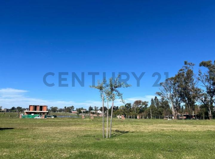 Terreno · 525m²
