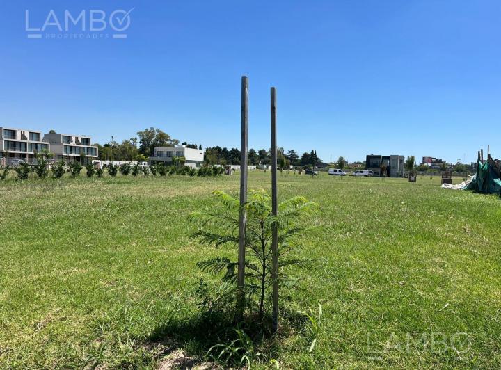 Terreno · 378m²