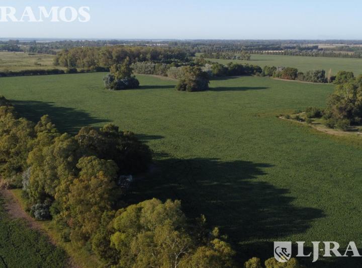 Terreno · 2416m²
