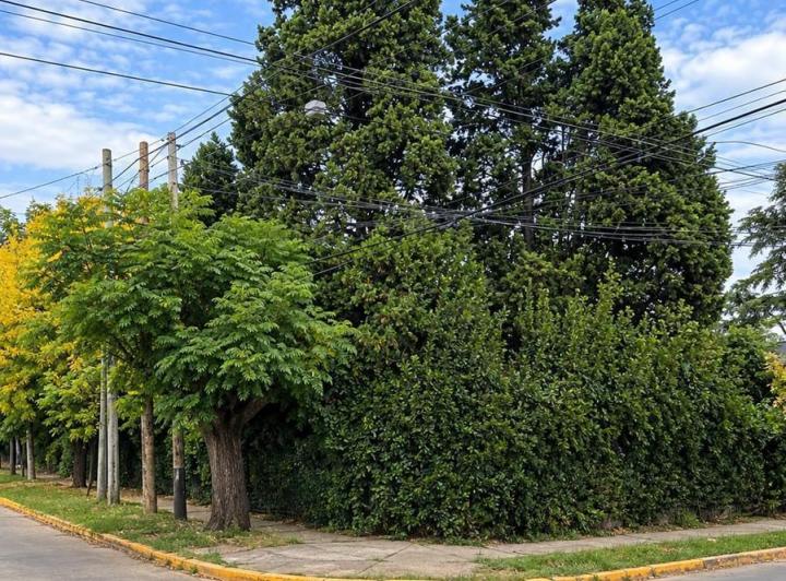 Terreno · 234m²