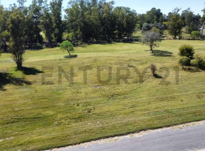 Terreno · 1642m²