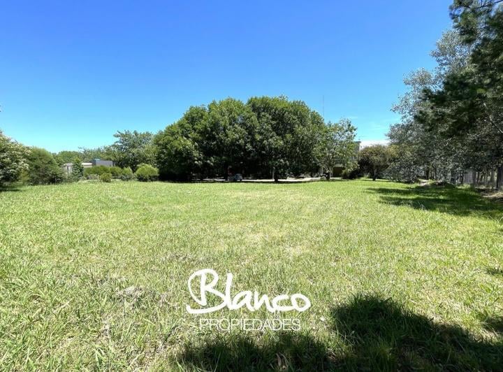 Terreno · 1032m²
