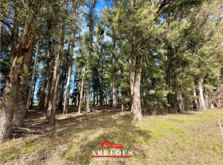 Terreno · 5971m²