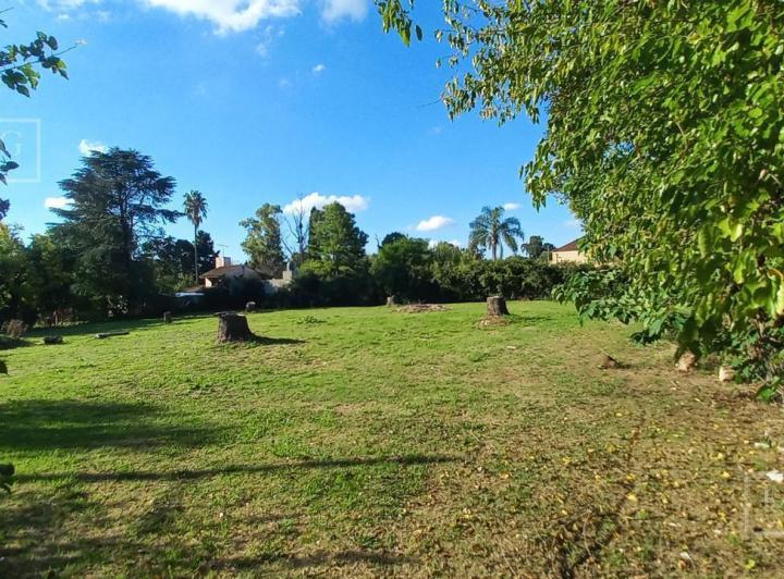 Terreno · 2500m²