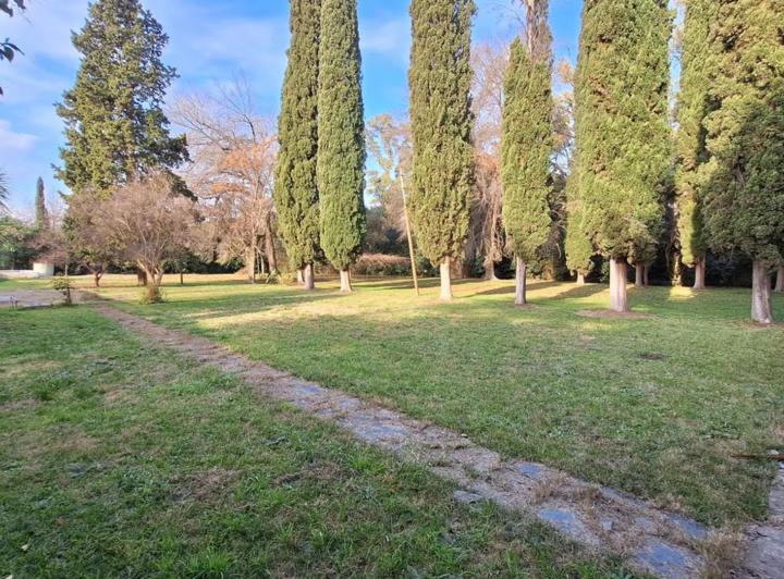Terreno · 3725m²