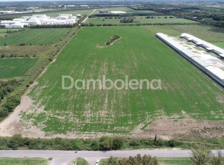 Terreno · 183406m²