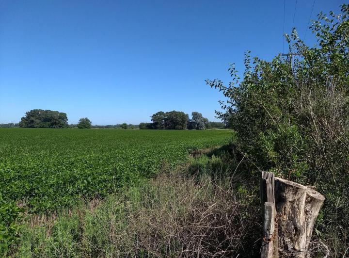 Terreno · 2100000m²