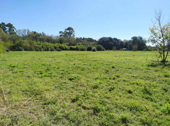 Terreno · 28900m²