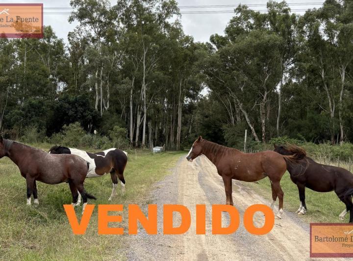 Terreno · 21050m²